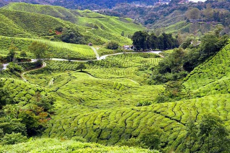 Tour Singapore - Malaysia khởi hành từ Đà Nẵng